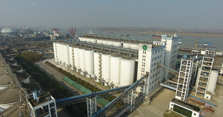 ��ģ����