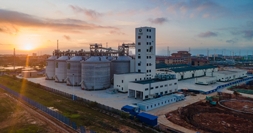 ��ģ����