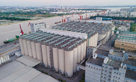 ��ģ����